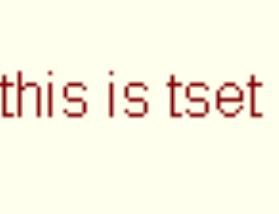 Image Zoom Output Image